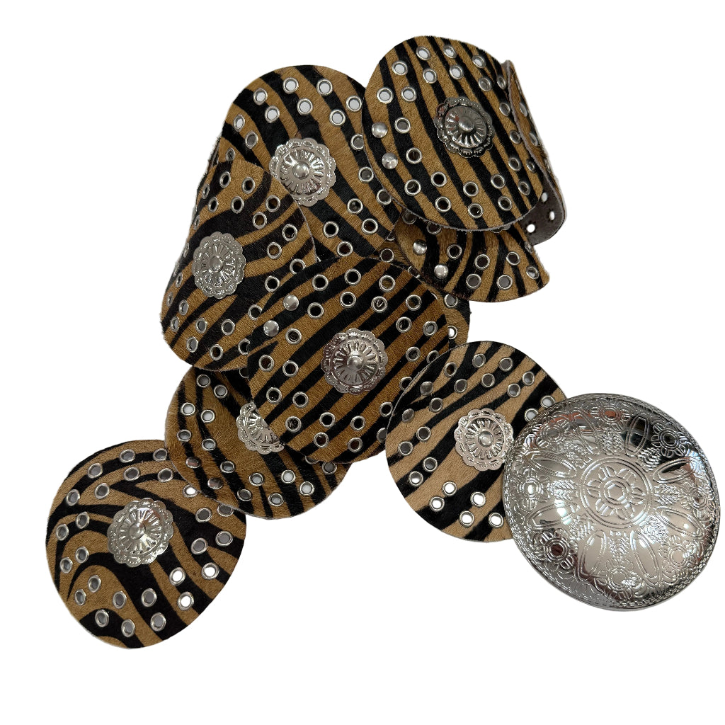 Cinturon Fatou