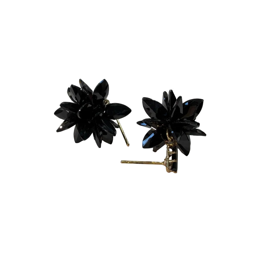 Pendientes erizo