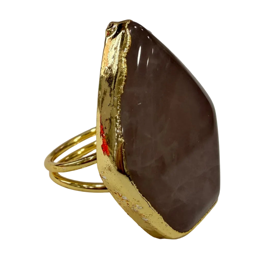 Anillo bivalvo