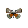 Broche crisalida