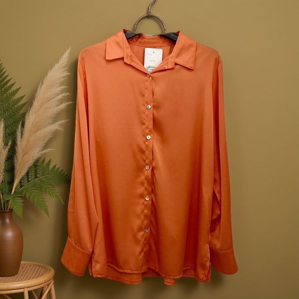Camisa Alba raso fluido liso cuello clásico manga larga oversize colgada en un ambiente para mujer Angara Moda