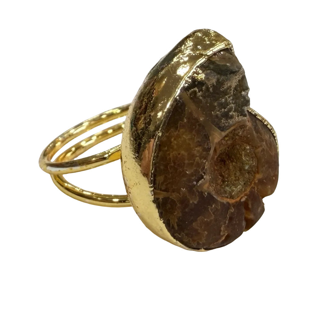 Anillo nautilo sobre fondo blanco para mujer Angara Moda