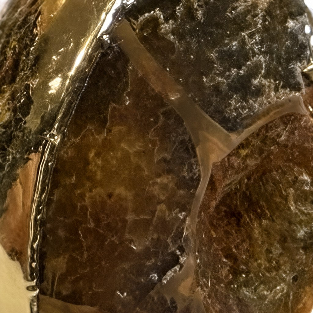 Detalle de Anillo nautilo para mujer Angara Moda