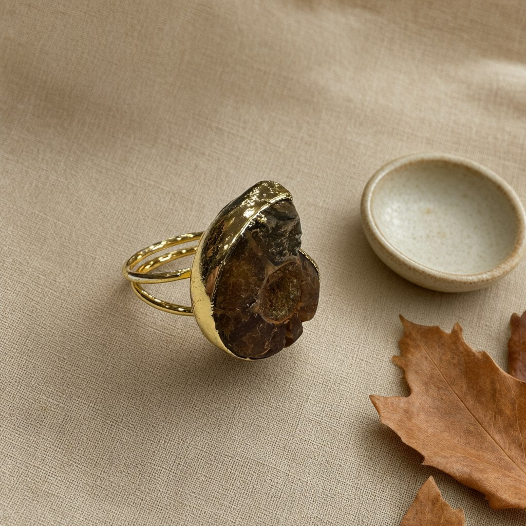 Anillo nautilo desde arriba para mujer Angara Moda