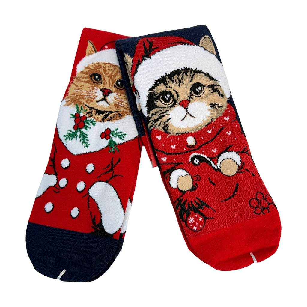 Calcetines Selma (pack de 2 uds.) sobre fondo blanco para mujer Angara Moda